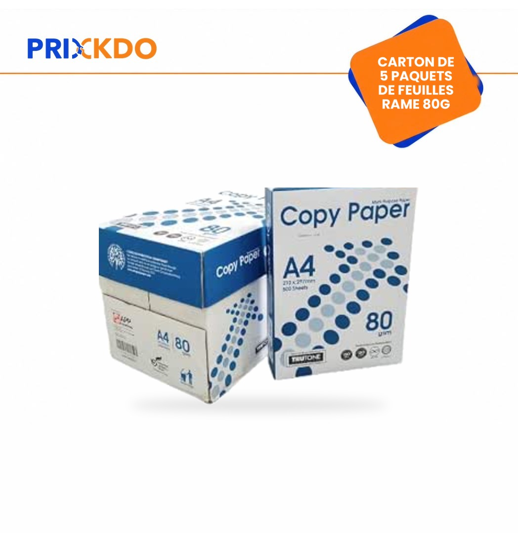 CARTON DE 5 PAQUETS DE 500 FEUILLES RAME DE 80G